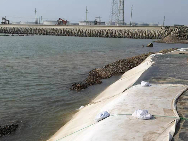 江蘇蘇州魚塘蝦池建設水產養殖防滲土工膜