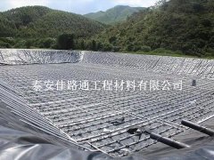 水產養殖新寵：防滲土工膜帶來革命性變革